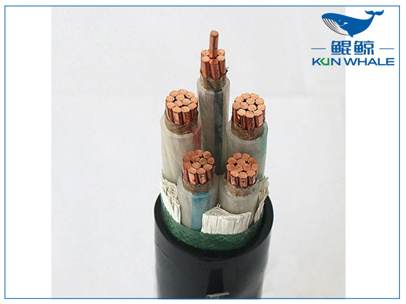 鄭州電纜廠帶你了解wdz—yje是什么電纜？